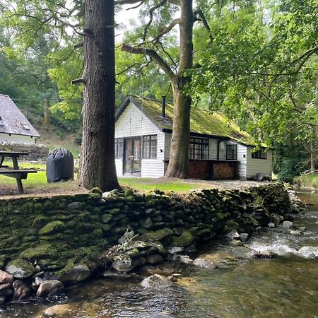 Cuckoo Cabin, Tyn Y Cwm Eglwys-Fach Εξωτερικό φωτογραφία